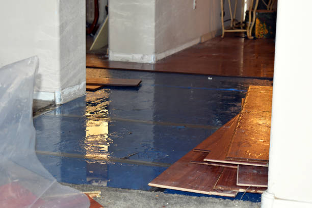 Professional Crawl Space Water Removal technician working in Wellesley Hills, MA